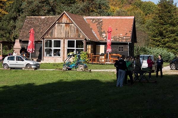 Stara hrastova kuća, team building - Šervudska šuma